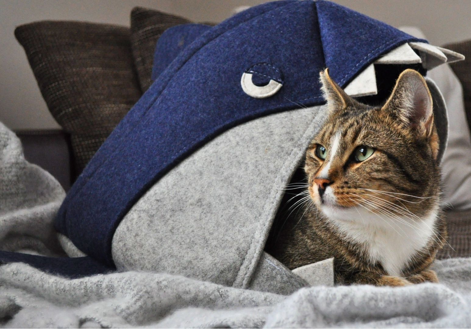 Loki liegt entspannt in der Filz-Katzenhöhle Necozy Marco und blickt ruhig zur Seite