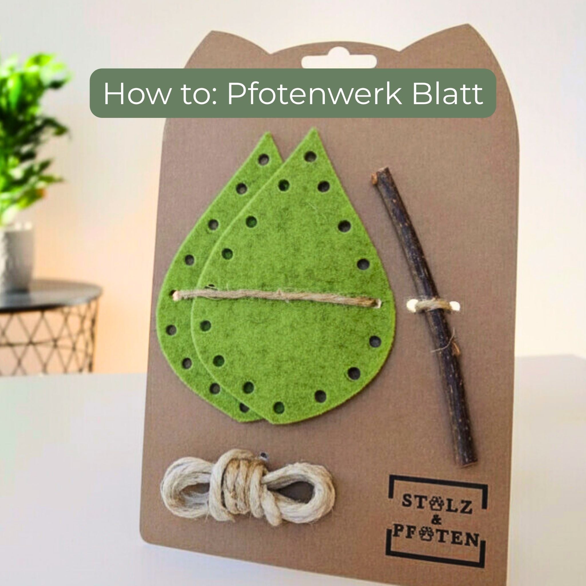 Video laden: Videoanleitung für Pfotenwerk DIY-Katzenspielzeug: Filz, Matatabi und Schnur werden Schritt für Schritt zu einem Katzenspielzeug zusammengebaut.