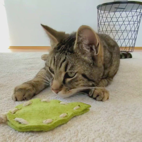 Katze spielt mit Pfotenwerk Katzenspielzeug aus Filz und Matatabi