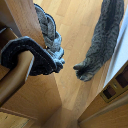 Kater Yato läuft neugierig durch den Türspalt, während der anthrazitfarbene Türwächter die Tür offen hält und vor dem Zufallen schützt