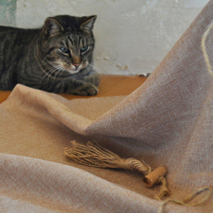 Katze schleicht sich spielbereit an die Katzenangel Wildfang heran